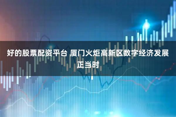 好的股票配资平台 厦门火炬高新区数字经济发展正当时
