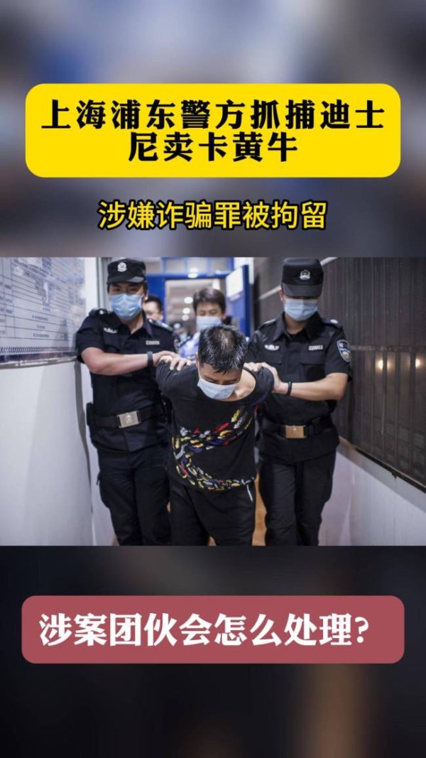 股票配资网平台 上海迪士尼抓获几十名黄牛 诈骗团伙被逮捕