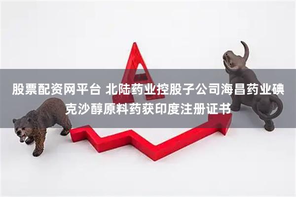 股票配资网平台 北陆药业控股子公司海昌药业碘克沙醇原料药获印度注册证书