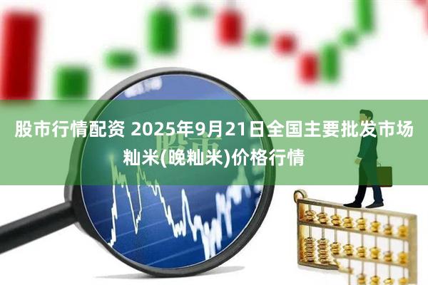 股市行情配资 2025年9月21日全国主要批发市场籼米(晚籼米)价格行情