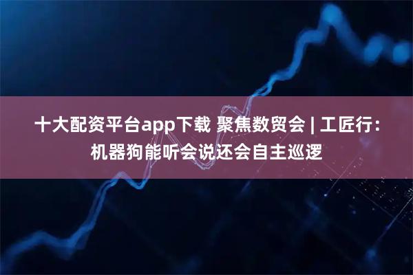 十大配资平台app下载 聚焦数贸会 | 工匠行：机器狗能听会说还会自主巡逻