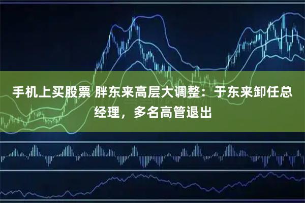 手机上买股票 胖东来高层大调整：于东来卸任总经理，多名高管退出