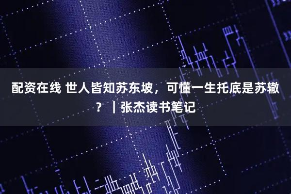 配资在线 世人皆知苏东坡，可懂一生托底是苏辙？｜张杰读书笔记