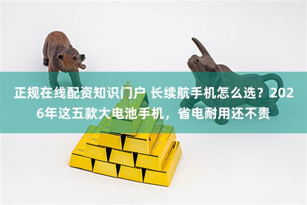 正规在线配资知识门户 长续航手机怎么选？2026年这五款大电池手机，省电耐用还不贵