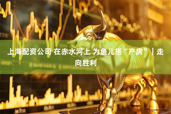 上海配资公司 在赤水河上 为鱼儿搭“产房”｜走向胜利